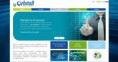 /album/estrategias-de-web-marketing/site-orbitall-jpg/