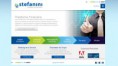 /album/estrategias-de-web-marketing/stefanini-financeiro-jpg/
